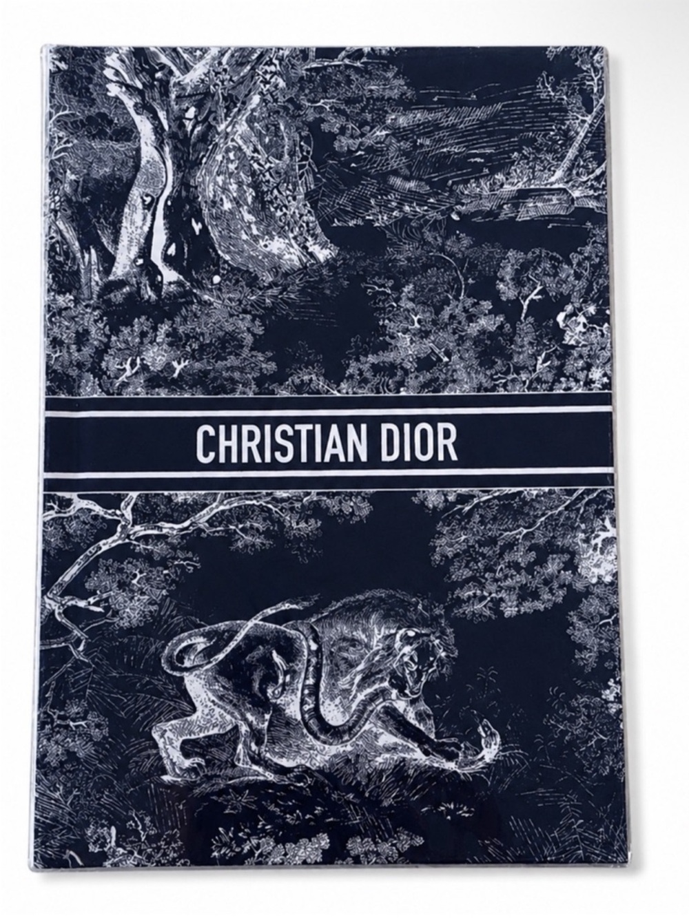 15 left! Dior BuyerAppreciation Situation 🎡 - Picture 5 of 6